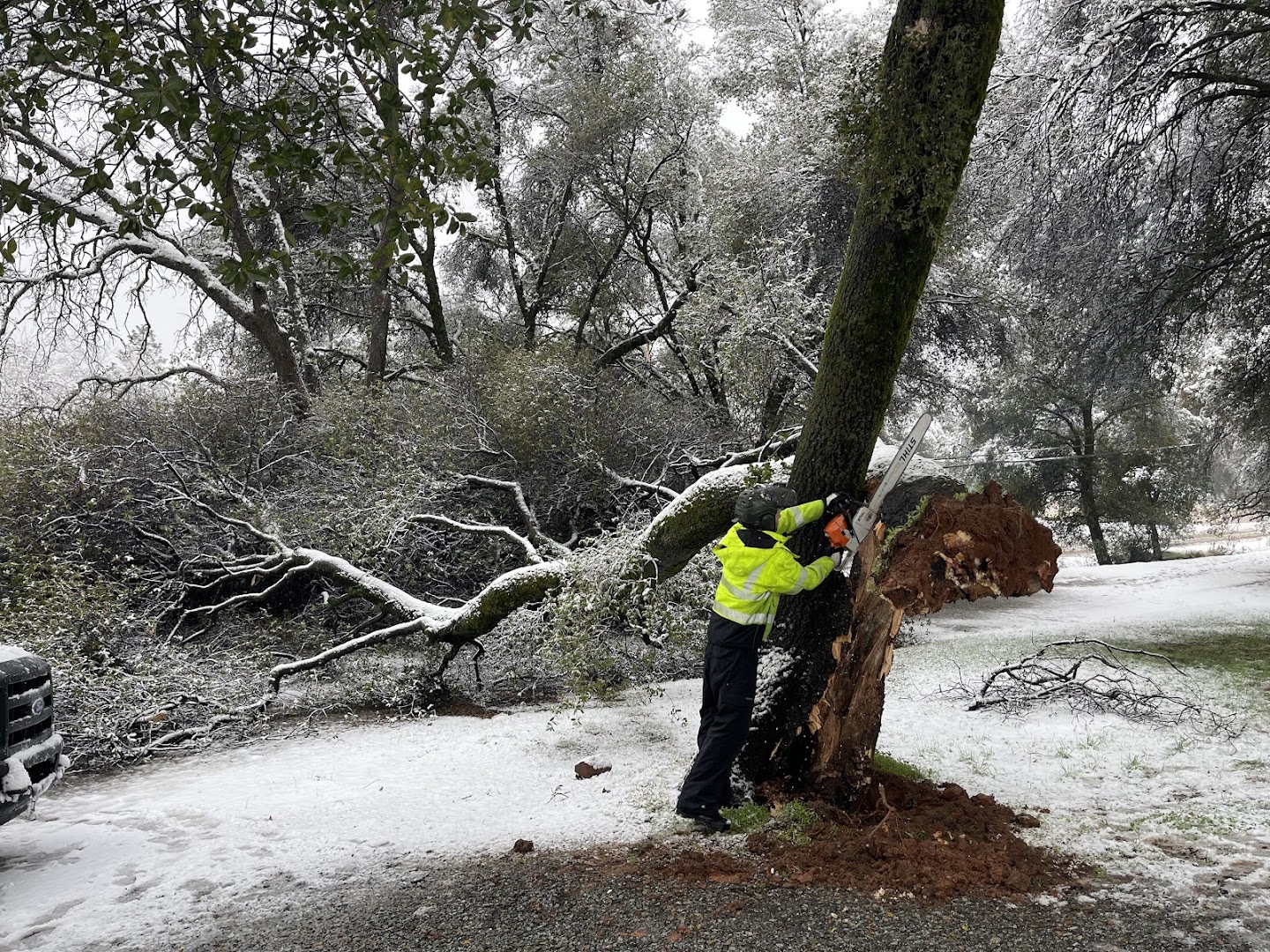 Crew cutting up a fallen tree into rounds, Sonora CA
