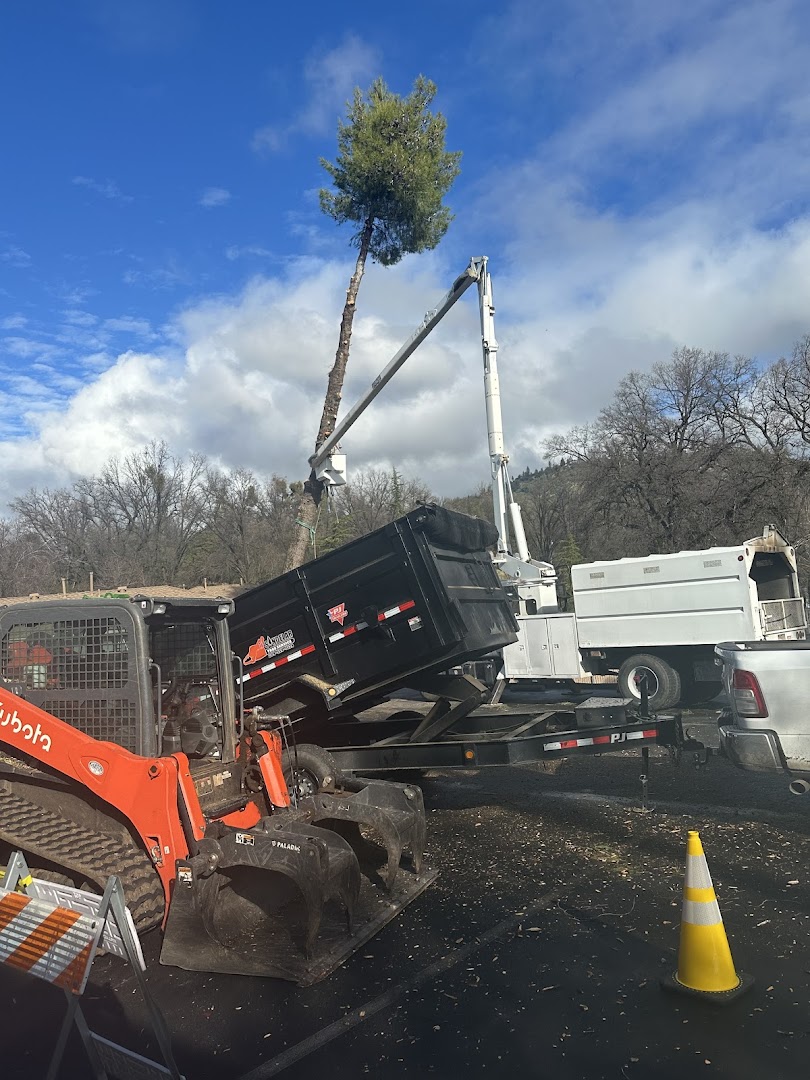 Crane lifting a cut tree section, Sonora CA