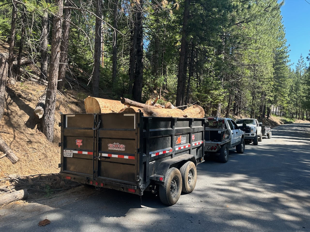 Loaded trailer of tree debris hauled away, Tuolumne County