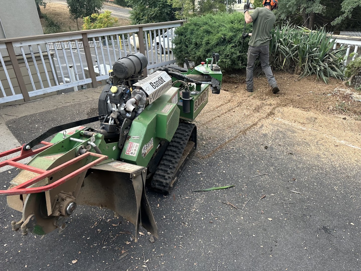 Stump grinding equipment at work, Sonora CA